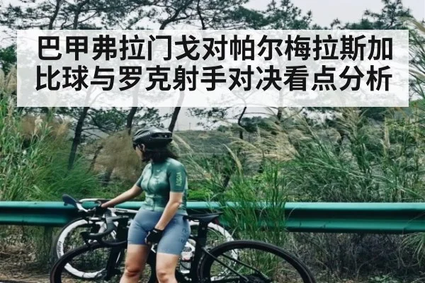 巴甲弗拉门戈对帕尔梅拉斯加比球与罗克射手对决看点分析